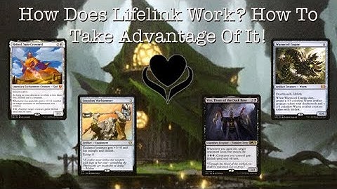 Back To The Basics - Lifelink