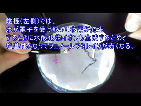 科学実験動画：ヨウ化カリウム水溶液の電気分解