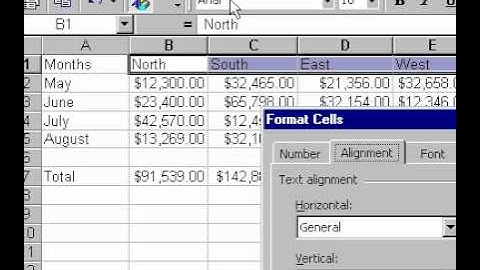 Microsoft Office Excel 2000 Rotating data in cells