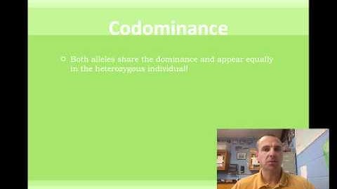 Inheritance Patterns Video 10