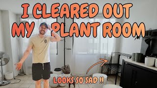Last Day of Spring Plant Care: The Sun Room