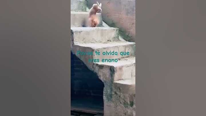Siempre me pasa