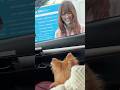 飼い主が見えなくなると不安になる娘の愛犬がかわいずきるw