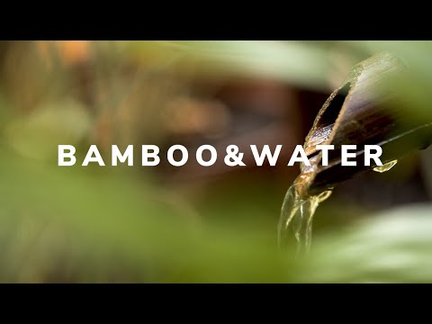 💦 წყლის ხმა, რომელიც მიედინება ბამბუკის მილში 💦 რელაქსაცია, მედიტაცია, სწავლა
