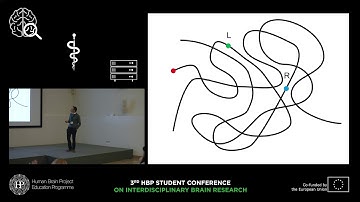Roelfsema Pieter - Seeing and thinking with your visual brain