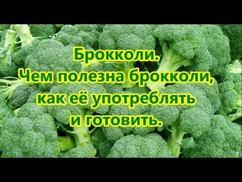 Брокколи  Чем полезна брокколи как её употреблять и готовить