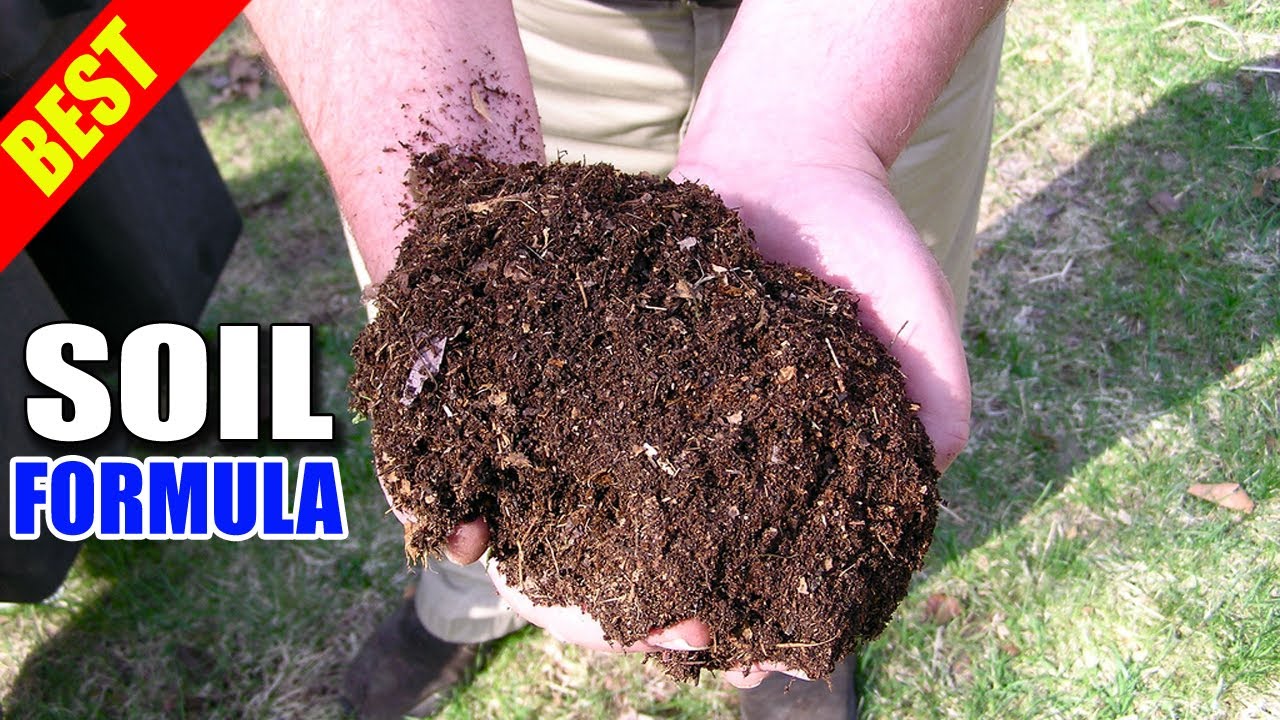 Best Soil For Plants Growth Best Soil Formula YouTube