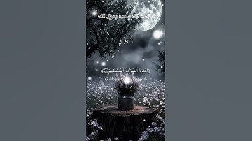 سورة الفاتحة | أكتب شيء تؤجر عليه ❤️🤲 #المصحف #قرآن #قران_كريم #ماهر_المعيقلي #تلاوة_خاشعة