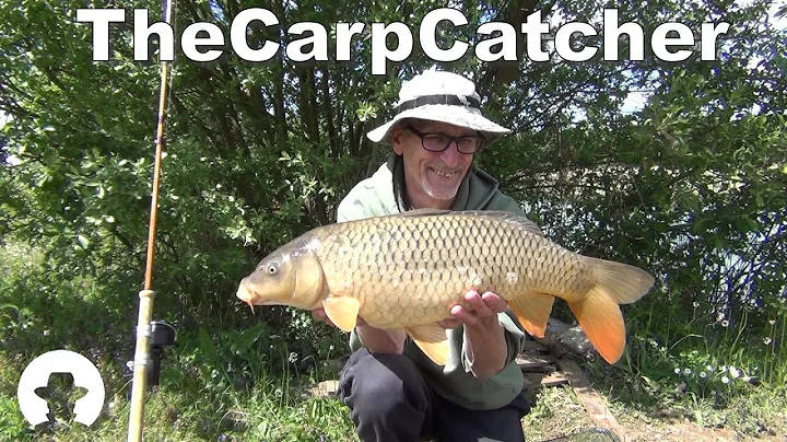 Golden Commons - Carp fishing