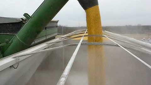 Mountains of Corn!  Grain Cart unloading into Hopper bottom trailer