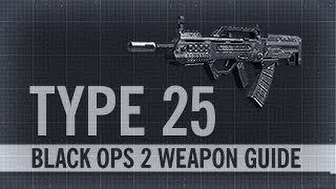Black Ops 2: "Type 25" Best Class Setup Guide!