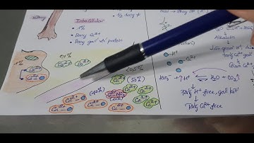 Sinh lý nội tiết 15 - Hormone kiểm soát calcium và phosphate 1