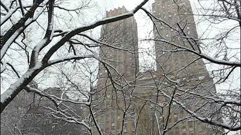 Strawberry Fields Central Park First Snow 2008