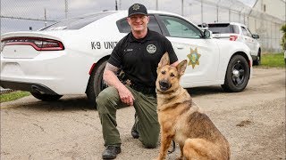 Meet the officers – four- and two-legged dedicated to ridding
california prisons of dangerous contraband. in february 2019, eight
new teams successfully co...