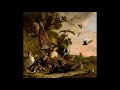 Haydn: piano concerto Hob. XVIII/2 in D major. Brautigam, Concerto Copenhagen