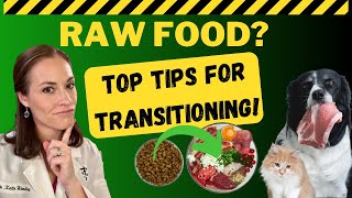 How To Transition Your Pet To A Raw Food Diet Safely To Optimize Gut Health | Holistic Vet Guide