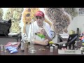 Chubbs answers more askchubbscom questions  october 12 2011