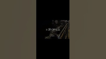 قران كريم 🤍 #اكسبلور #دويتو #لايك #shortvideo #تيك_توك #duet