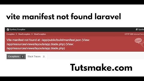 vite manifest not found laravel