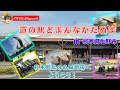 道の駅どまんなかたぬま in 栃木県佐野市 日本列島の心臓地帯へようこそ!