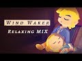 Relaxing/Lofi Wind Waker Mix • Cozy Gaming