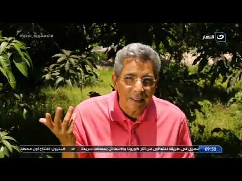 من 3 ل 5 ألاف دولار تعرف على سعر كيلو ال مانجا نادر وقصة علاجه للسرطان