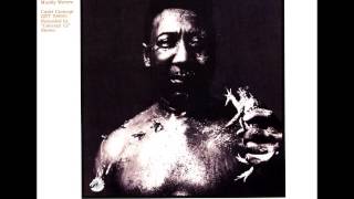 Muddy Waters - After The Rain - Album Completo. Rádio Rock Indie.