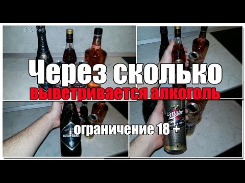 Сколько держится алкоголь в крови человека: факторы, влияющие на длительностьсть