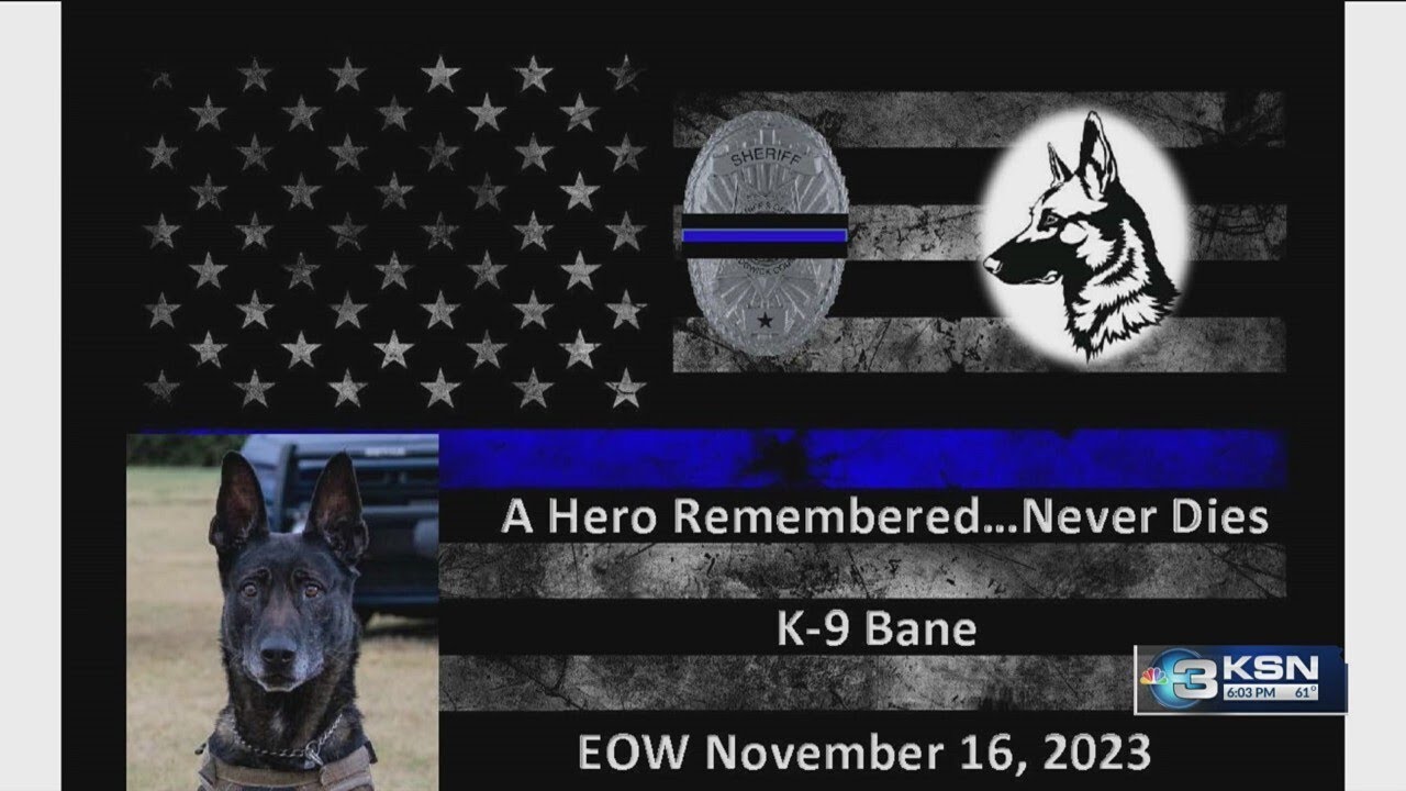 Continuing Coverage: Sedgwick County K9 killed in line of duty - YouTube