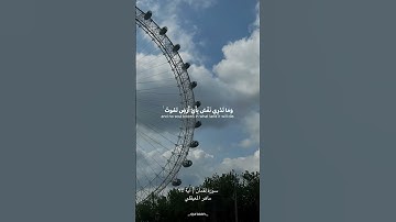 سورة لقمان | ماهر المعيقلي #المصحف