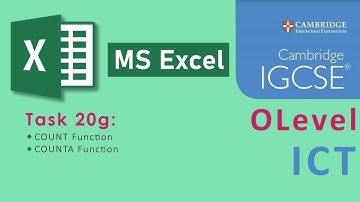 Task 20g - MS Excel - COUNT Function - COUNTA Function