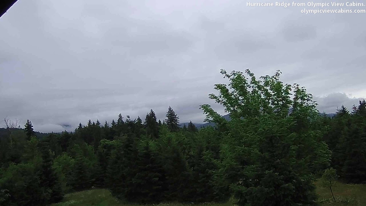 Hurricane Ridge Camera 2020-07-01 Olympic View Cabins Hurricane Ridge Cam - YouTube