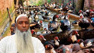 এই নিয়ম পালন করলে অবশ্যই হাঁস খামারে লাভ করা সম্ভব। China Duck Farming video.