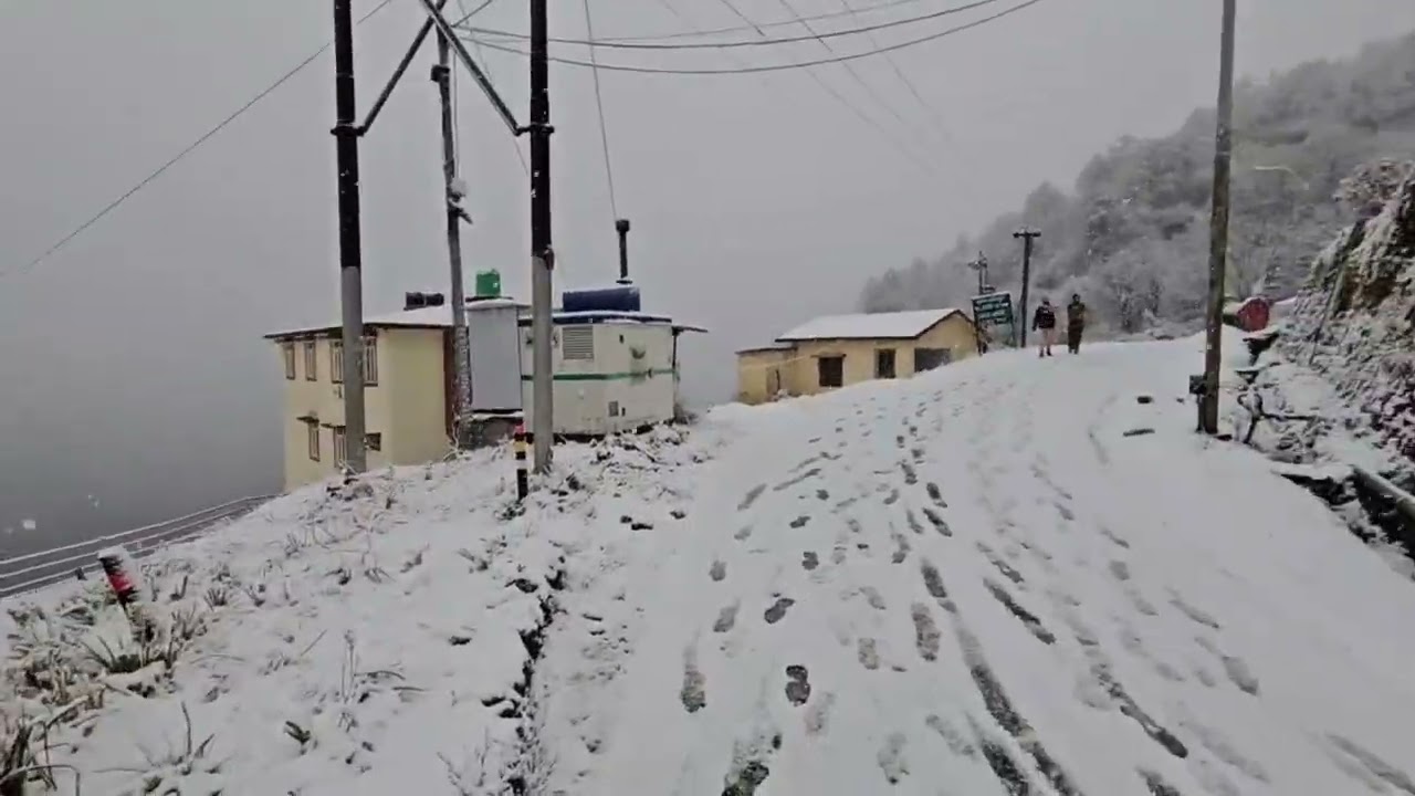 Университет садоводства и лесоводства VCSG Уттаракханда ||снегопад||