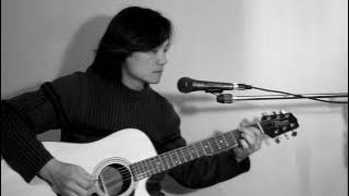 Cinderella - Coming home (cover)