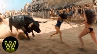 120 Incredible Safari Moments Caught On Camera Went Horribly Wrong !