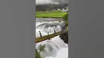 tujhe dekha to jana sanam |instrumental music videos#nature#sortsinstrumental#videosvairl