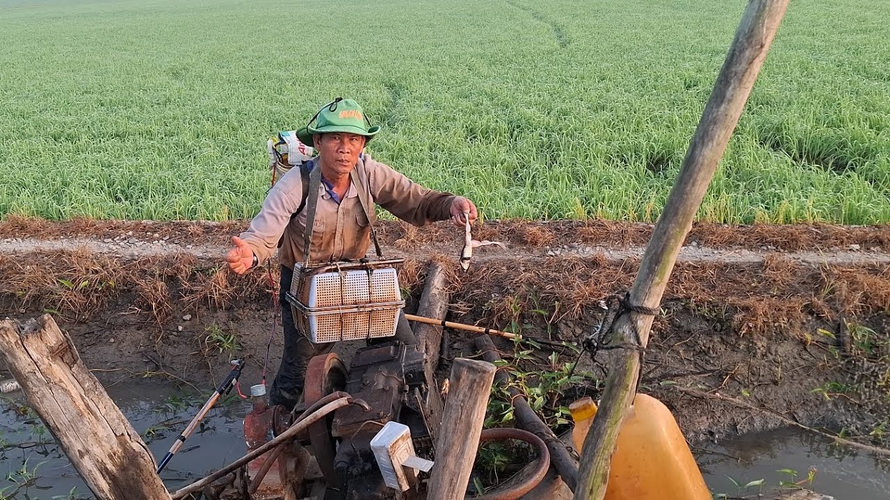 Hôm nay chú sáu đi trích ếch hang nha cả nhà, nay tét cây 14f nha. 