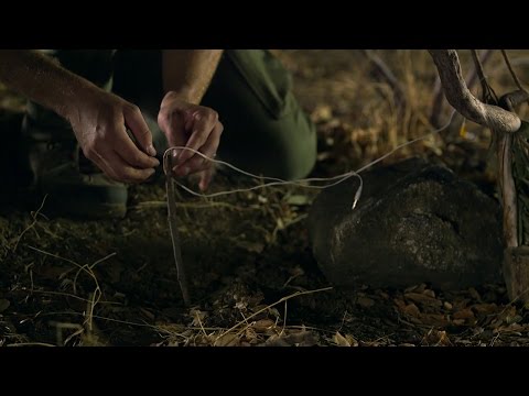 The Headphone Trap | Hacking The System