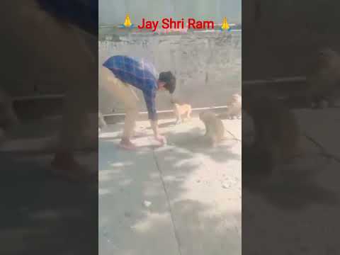 Jay Shri Ram bhakti video viral 🙏🙏🙏
