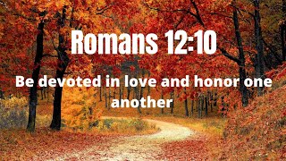 Romans 12:10 Honour one another @DailyInspirationfromBible