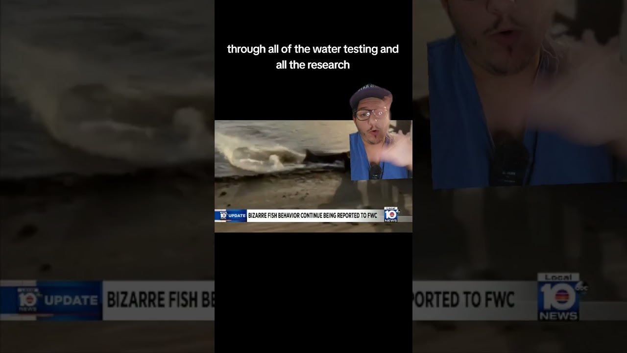 Sawfish deaths bring more questions than answers