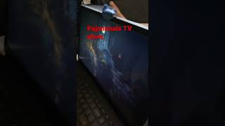 Zoey Watching Pajanimals