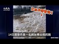 【焦點】廣西飛鳥漫天盤旋🎯鴨綠江水如沸騰般冒泡😢 | 台灣大紀元時報