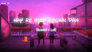 Hay Re Mor Kochai Pan | Slowed + Lofi | Remake | By Dj Chandan Ck | Cg Lofi
