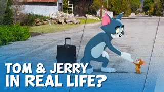 What To Expect From The Real Life TOM &amp; JERRY Movie?