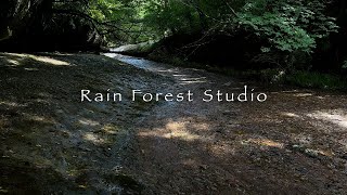 View from clear creeks 澄んだ小川の景色 View from clear creeks 澄んだ小川の景色