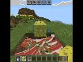 What am I hearing shorts minecraft