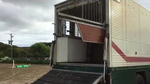 Loading onto the Horse Truck