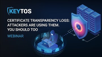 Certificate Transparency Logs: Attackers are using them, you should too!